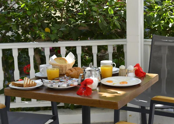 دولفينز Kamári